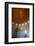 Interior of the dome of Sheikh Lotfollah Mosque, Isfahan, Iran, Middle East-James Strachan-Framed Photographic Print