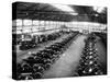 Interior of the Ford Works, Trafford Park, Manchester, C1911-C1927-null-Stretched Canvas