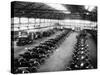 Interior of the Ford Works, Trafford Park, Manchester, C1911-C1927-null-Stretched Canvas