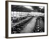 Interior of the Ford Works, Trafford Park, Manchester, C1911-C1927-null-Framed Photographic Print