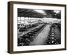 Interior of the Ford Works, Trafford Park, Manchester, C1911-C1927-null-Framed Photographic Print