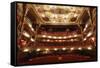 Interior of the Grand Opera House, Belfast, Northern Ireland, 2010-Peter Thompson-Framed Stretched Canvas