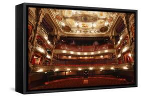 Interior of the Grand Opera House, Belfast, Northern Ireland, 2010-Peter Thompson-Framed Stretched Canvas