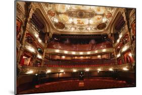 Interior of the Grand Opera House, Belfast, Northern Ireland, 2010-Peter Thompson-Mounted Photographic Print