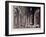 Interior of the Great Basilica of San Pietro in the Vatican-Carlo Gilio-Framed Giclee Print