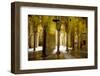 Interior of the Great Mosque (Mezquita) and Cathedral, Unesco World Heritage Site, Cordoba, Spain-James Emmerson-Framed Photographic Print