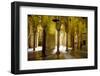 Interior of the Great Mosque (Mezquita) and Cathedral, Unesco World Heritage Site, Cordoba, Spain-James Emmerson-Framed Photographic Print