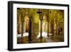 Interior of the Great Mosque (Mezquita) and Cathedral, Unesco World Heritage Site, Cordoba, Spain-James Emmerson-Framed Photographic Print