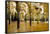 Interior of the Great Mosque (Mezquita) and Cathedral, Unesco World Heritage Site, Cordoba, Spain-James Emmerson-Framed Stretched Canvas