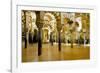 Interior of the Great Mosque (Mezquita) and Cathedral, Unesco World Heritage Site, Cordoba, Spain-James Emmerson-Framed Photographic Print