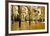 Interior of the Great Mosque (Mezquita) and Cathedral, Unesco World Heritage Site, Cordoba, Spain-James Emmerson-Framed Photographic Print