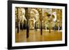 Interior of the Great Mosque (Mezquita) and Cathedral, Unesco World Heritage Site, Cordoba, Spain-James Emmerson-Framed Photographic Print