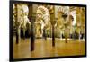 Interior of the Great Mosque (Mezquita) and Cathedral, Unesco World Heritage Site, Cordoba, Spain-James Emmerson-Framed Photographic Print