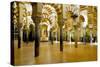 Interior of the Great Mosque (Mezquita) and Cathedral, Unesco World Heritage Site, Cordoba, Spain-James Emmerson-Stretched Canvas