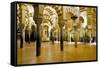 Interior of the Great Mosque (Mezquita) and Cathedral, Unesco World Heritage Site, Cordoba, Spain-James Emmerson-Framed Stretched Canvas