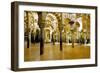 Interior of the Great Mosque (Mezquita) and Cathedral, Unesco World Heritage Site, Cordoba, Spain-James Emmerson-Framed Photographic Print