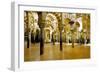 Interior of the Great Mosque (Mezquita) and Cathedral, Unesco World Heritage Site, Cordoba, Spain-James Emmerson-Framed Photographic Print