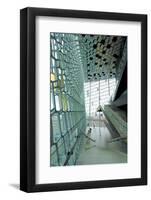 Interior of the Harpa Concert Hall, Reykjavik, Iceland, Polar Regions-Lee Frost-Framed Photographic Print