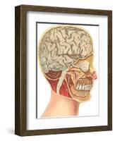 Interior of the Head-null-Framed Art Print