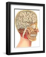 Interior of the Head-null-Framed Art Print