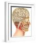 Interior of the Head-null-Framed Art Print