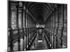 Interior of the Library, Trinity College, Dublin, Eire (Republic of Ireland)-Michael Short-Mounted Photographic Print