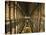 Interior of the Library, Trinity College, Dublin-null-Stretched Canvas