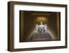 Interior of the Lincoln Memorial Lit Up at Night-Michael Nolan-Framed Photographic Print