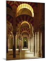 Interior of the Mezquita or Mosque at Cordoba, Cordoba, Andalucia), Spain-Michael Busselle-Mounted Photographic Print