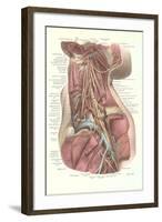 Interior of the Neck-null-Framed Art Print