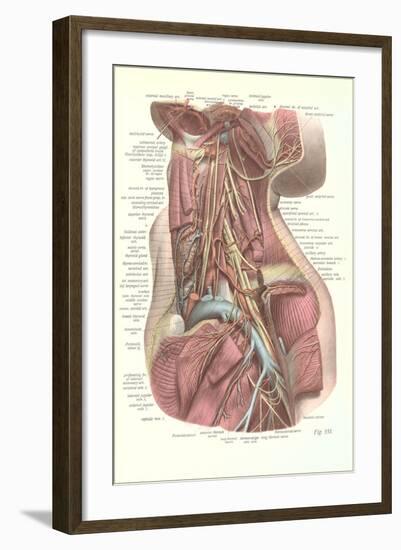 Interior of the Neck-null-Framed Art Print