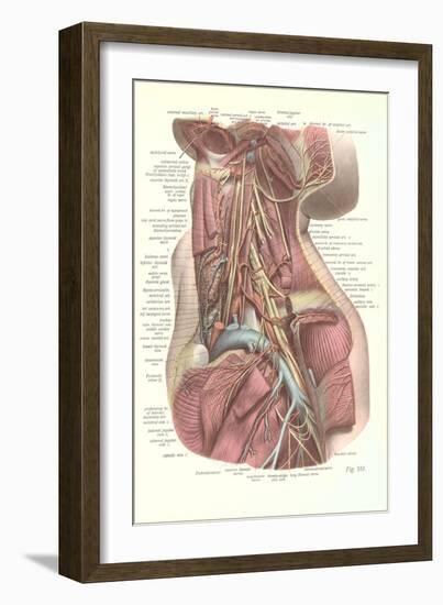 Interior of the Neck-null-Framed Art Print