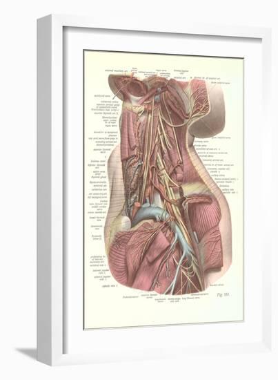 Interior of the Neck-null-Framed Art Print