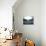 Interior of the Olympic Stadium, Berlin, Germany-null-Photographic Print displayed on a wall