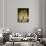 Interior of the Private Apartments of the Great Kremlin Palace-null-Giclee Print displayed on a wall