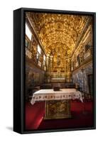 Interior of the Saint Francisco Church in the Pelourinho-Michael Runkel-Framed Stretched Canvas