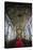 Interior of the San Augustin Church, Intramuros, Manila, Luzon, Philippines, Southeast Asia, Asia-Michael Runkel-Stretched Canvas