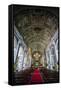 Interior of the San Augustin Church, Intramuros, Manila, Luzon, Philippines, Southeast Asia, Asia-Michael Runkel-Framed Stretched Canvas