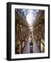 Interior of the Strand, Glass Covered Shopping Mall, Sydney, New South Wales (Nsw), Australia-D H Webster-Framed Photographic Print