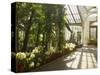 Interior of the Temperate House, Kew Gardens, Unesco World Heritage Site, London, England-David Hughes-Stretched Canvas