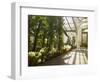 Interior of the Temperate House, Kew Gardens, Unesco World Heritage Site, London, England-David Hughes-Framed Photographic Print