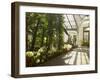 Interior of the Temperate House, Kew Gardens, Unesco World Heritage Site, London, England-David Hughes-Framed Photographic Print