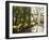 Interior of the Temperate House, Kew Gardens, Unesco World Heritage Site, London, England-David Hughes-Framed Photographic Print