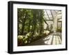 Interior of the Temperate House, Kew Gardens, Unesco World Heritage Site, London, England-David Hughes-Framed Photographic Print