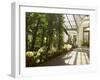 Interior of the Temperate House, Kew Gardens, Unesco World Heritage Site, London, England-David Hughes-Framed Photographic Print