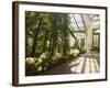 Interior of the Temperate House, Kew Gardens, Unesco World Heritage Site, London, England-David Hughes-Framed Photographic Print