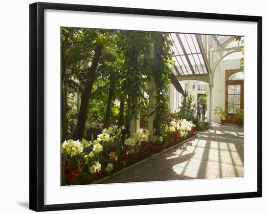 Interior of the Temperate House, Kew Gardens, Unesco World Heritage Site, London, England-David Hughes-Framed Photographic Print