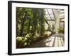 Interior of the Temperate House, Kew Gardens, Unesco World Heritage Site, London, England-David Hughes-Framed Photographic Print