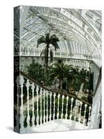 Interior of the Temperate House, Restored in 1982, Kew Gardens, Greater London-Richard Ashworth-Stretched Canvas