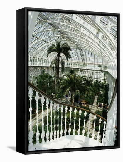 Interior of the Temperate House, Restored in 1982, Kew Gardens, Greater London-Richard Ashworth-Framed Stretched Canvas